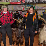 Immagine: Capra Orobica.25_420