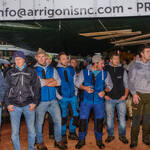 Immagine: Capra Orobica.25_493