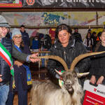 Immagine: Capra Orobica.25_505