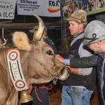 Immagine: Capra Orobica.25_619