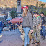 Immagine: Capre 19.11.23_003