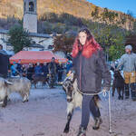 Immagine: Capre 19.11.23_007