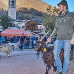 Immagine: Capre 19.11.23_010