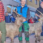 Immagine: Capre 19.11.23_013