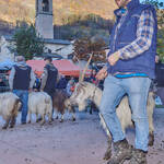 Immagine: Capre 19.11.23_025