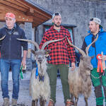 Immagine: Capre 19.11.23_057