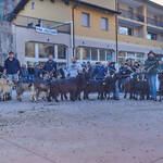 Immagine: Capre 19.11.23_071