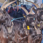 Immagine: Capre 19.11.23_073