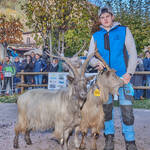 Immagine: Capre 19.11.23_087