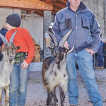 Immagine: Capre 19.11.23_099