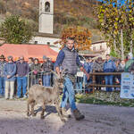 Immagine: Capre 19.11.23_101