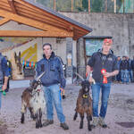 Immagine: Capre 19.11.23_106