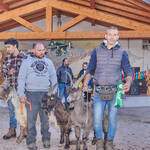 Immagine: Capre 19.11.23_107