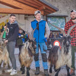 Immagine: Capre 19.11.23_141