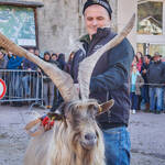 Immagine: Capre 19.11.23_183