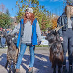 Immagine: Capre 19.11.23_199 (1)