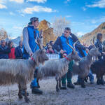 Immagine: Capre 19.11.23_200