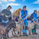 Immagine: Capre 19.11.23_201 (1)