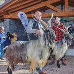 Immagine: Capre 19.11.23_209