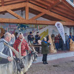 Immagine: Capre 19.11.23_211