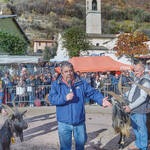 Immagine: Capre 19.11.23_213