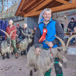 Immagine: Capre 19.11.23_220