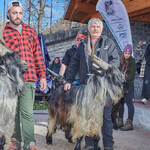 Immagine: Capre 19.11.23_225