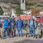 Immagine: Capre 19.11.23_227