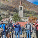 Immagine: Capre 19.11.23_229