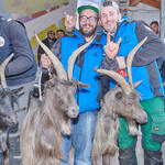 Immagine: Capre 19.11.23_231 (1)