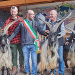 Immagine: Capre 19.11.23_240