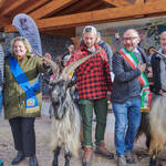 Immagine: Capre 19.11.23_242