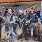 Immagine: Capre 19.11.23_245