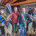 Immagine: Capre 19.11.23_246