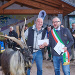 Immagine: Capre 19.11.23_256