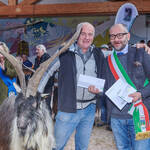 Immagine: Capre 19.11.23_257