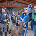 Immagine: Capre 19.11.23_267