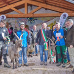 Immagine: Capre 19.11.23_271