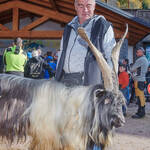 Immagine: Capre 19.11.23_286