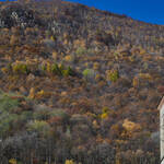 Immagine: Capre 19.11.23_287 (1)