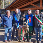 Immagine: Capre 19.11.23_302