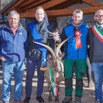 Immagine: Capre 19.11.23_304