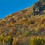 Immagine: Capre 19.11.23_339