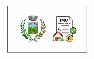 Immagine: IMU