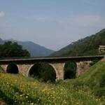 Immagine: phoca_thumb_l_Foto_6