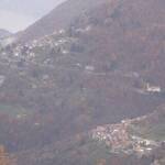 Immagine: phoca_thumb_l_NarroIndovero