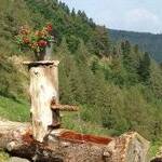 Immagine: phoca_thumb_l_Ombregabassa